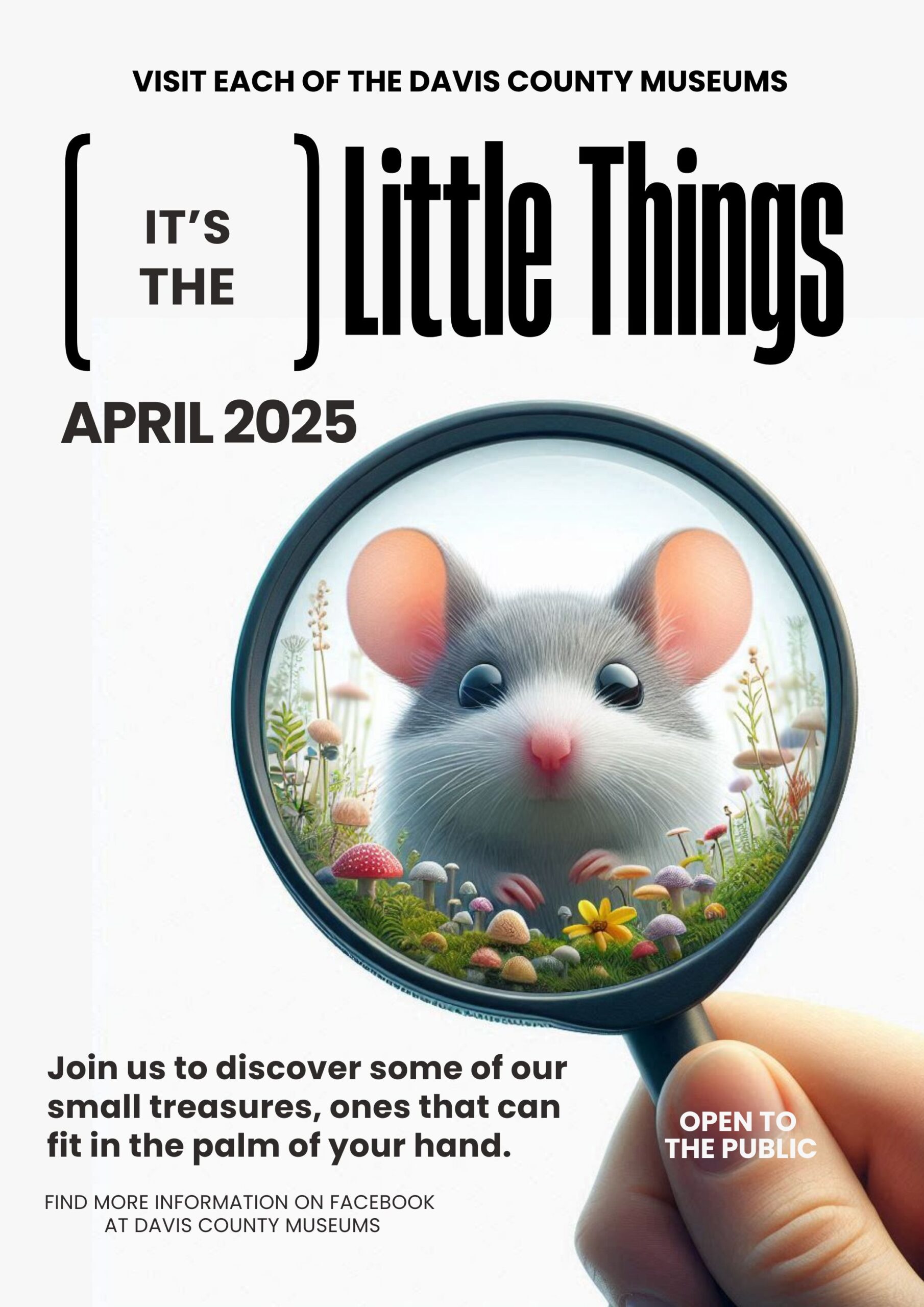 dcm-april-2025-event-poster